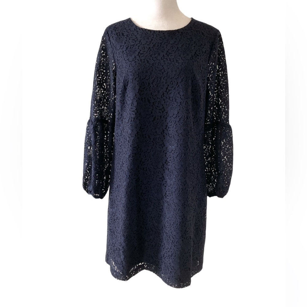 Ann Taylor 6 lace dress navy blue statement sleeves